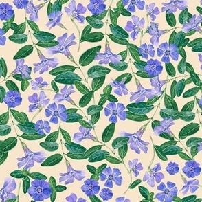 Hand Drawn Watercolor Periwinkle Field on Cream, L