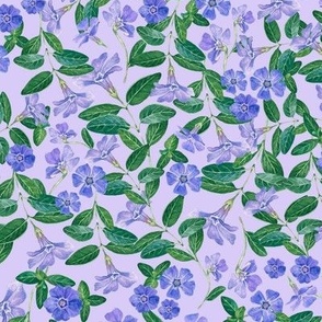 Hand Drawn Watercolor Periwinkle Field on Lavender, L