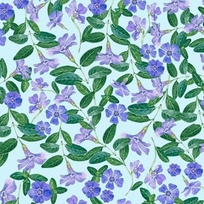 Hand Drawn Watercolor Periwinkle Field on Light Blue, L