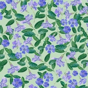 Hand Drawn Watercolor Periwinkle Field on Light Green, L
