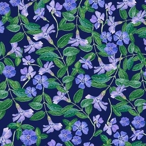 Hand Drawn Watercolor Periwinkle Field on Navy, L