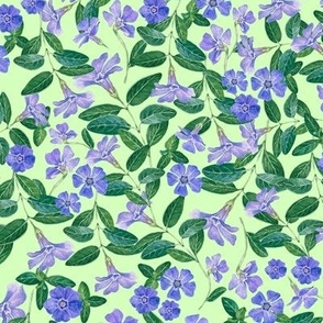 Hand Drawn Watercolor Periwinkle Field on Spring Green, L