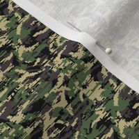 Sixth Scale COMPAT Digital DPM Temperate Camo