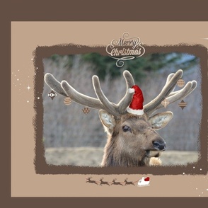 Christmas Elk - Santa Hat Panel Framed