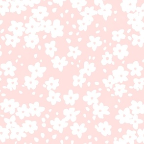 daisies light pink