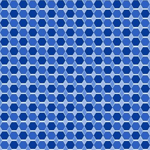 Hexagon Quilt 1