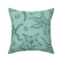 Starfish and Sand Dollars - Ocean Blue - Large