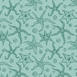 Starfish and Sand Dollars - Ocean Blue - Small