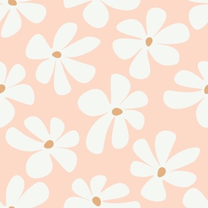 crazy daisy in powder pink