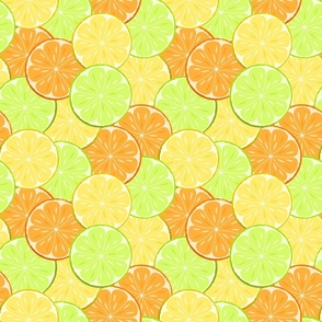 Bright citrus pattern. Slices of lemon, oranges and lime.