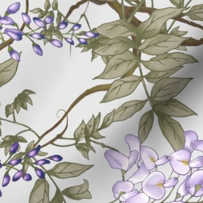Wisteria violet grey  japanese J rotated