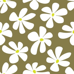 crazy daisy in olive