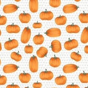Small Autumn Pumpkins on White
