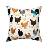 Large Autumn Chickens with Hen Scratch on White