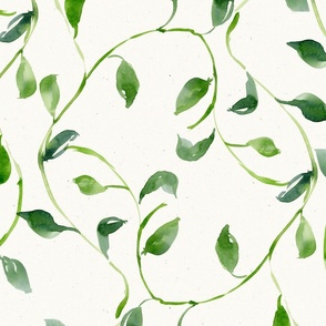 Watercolor ivy vines large scale on parchment 