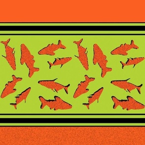 sharks swimwear green orange border