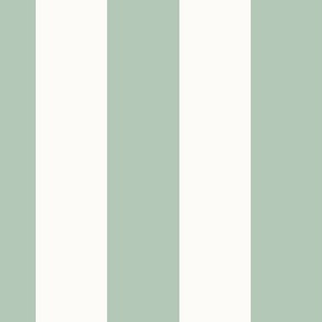 4 inch sage green vertical stripe