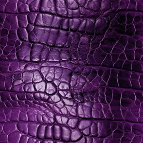 Purple Alligator Skin 2