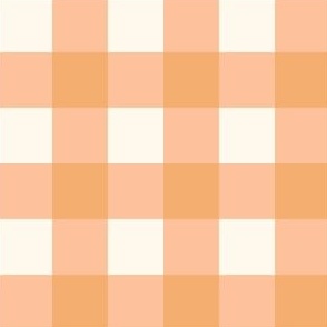 peach and apricot gingham checker for summer floral collection