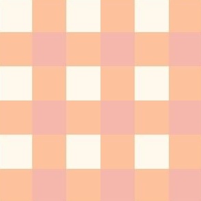 pink and peach gingham checker for summer floral collection