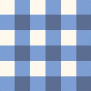 Blue gingham checker for summer floral collection - blue nova gingham