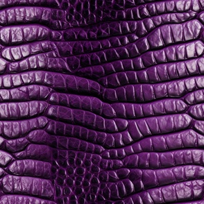 Purple Alligator Skin 4