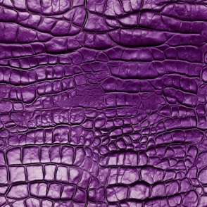 Purple Alligator Skin 12
