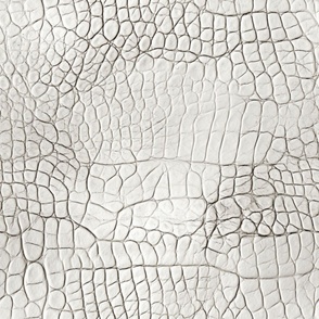 Ivory Alligator Skin 7