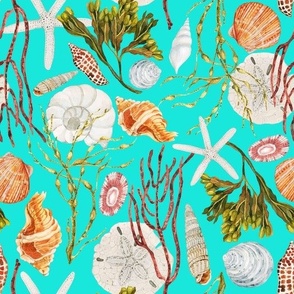 Hand Drawn Watercolor Sea Shells and Seaweed on Bright Aqua, L