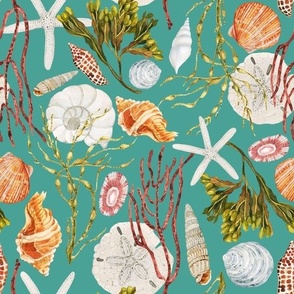 Hand Drawn Watercolor Sea Shells and Seaweed on Teal, L