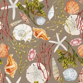 Hand Drawn Watercolor Sea Shells and Seaweed on Dark Taupe, L