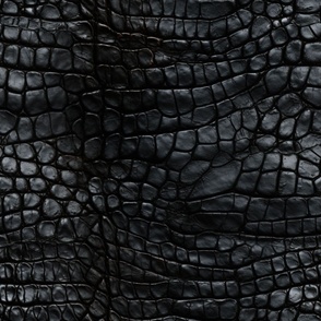 Jet Black Alligator Skin 3