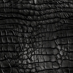Jet Black Alligator Skin 4