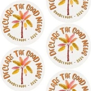 Baie-Mahault Guadeloupe Declare the Good News Special Convention DIY Gifts JW Fabric