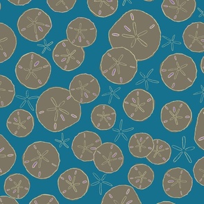 (XL) Sand dollars khaki clay brown bright teal blue 24x36-19