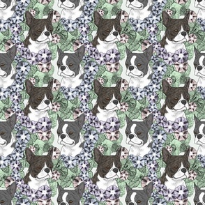 Floral Boston terrier portraits