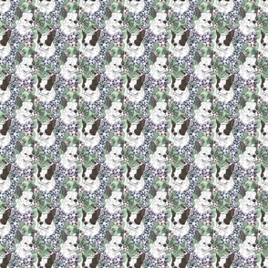 Small Floral extra white Boston terrier portraits