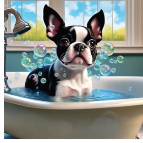 TUB Boston Terrier dog with bubbles  18 x 18 inch panel