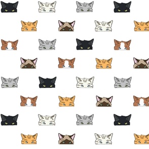 Checkered Cats 