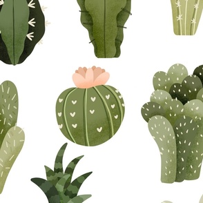 cute and boho Cactus, succulent, desert plant (Large scale)