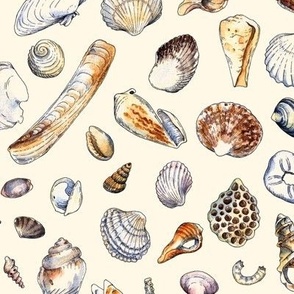 Seashells Watercolor on beige