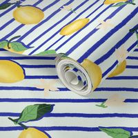 Lemon Juice Stripes