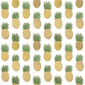 gold pineapples on 
