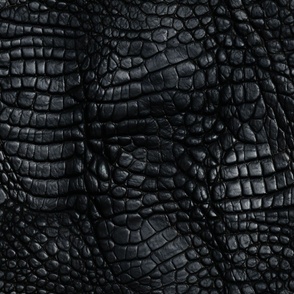 Jet Black Alligator Skin 10