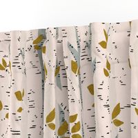 Birch Trees Texture