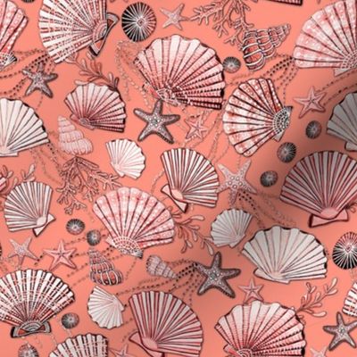 Coral and peach seashells and starfish beach 