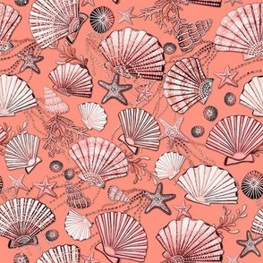 Coral and peach seashells and starfish beach 