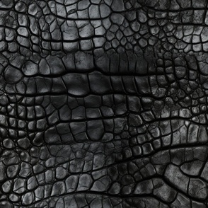 Jet Black Alligator Skin 12