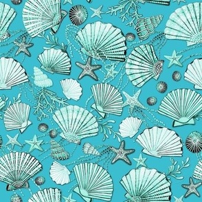 Seashells and starfish on teal and turquoise 