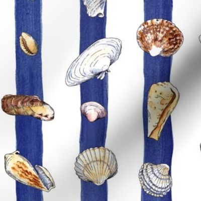 Seashells Watercolor blue stripes